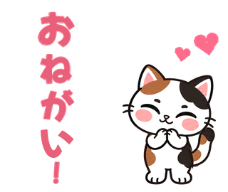 おねがい！